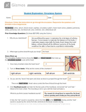 Blackline Master Science Grade 10 Answers PDF