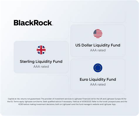 Blackrock Money Market Fund: A Comprehensive Guide