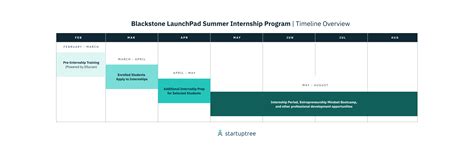 Blackstone Operations Internship: The Ultimate Insider's Guide