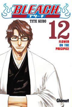 Bleach 12 Flower on the Precipice Spanish Edition Reader