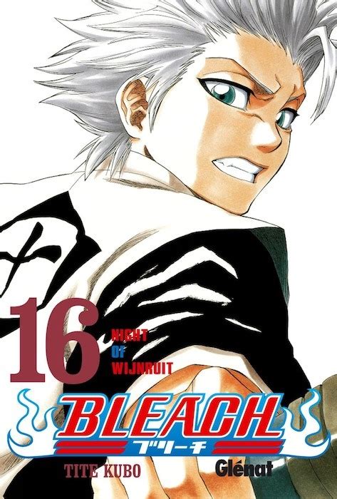 Bleach 16 Night of Wijnruit Spanish Edition PDF