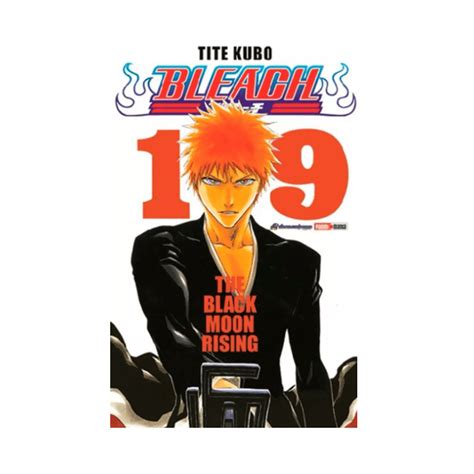 Bleach 19 PDF