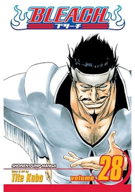 Bleach 28 Kindle Editon