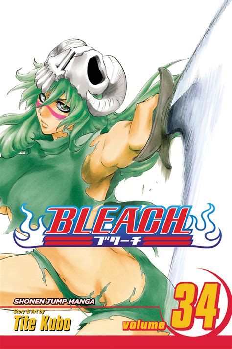 Bleach Vol 34 Reader