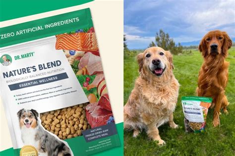 Blend Dog Food: The Future of Pet Nutrition