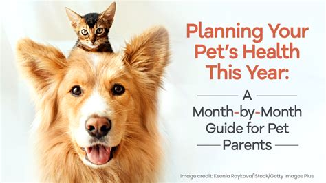 BlessKatty: A Comprehensive Guide to Your Pet's Health and Well-being