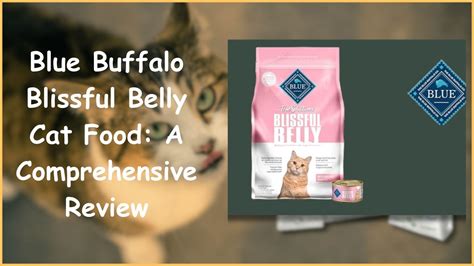 Blissful Belly Cat Food: The Purr-fect Choice for Your Feline Friend