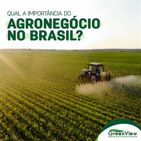 Blog do Silvano Alves: Desvendando o Mundo do Agronegócio Brasileiro