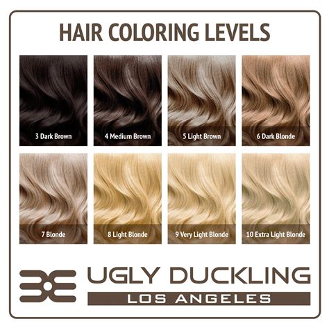 Blonde Color Chart: A Comprehensive Guide to Level Numbers, Shades, and Variations