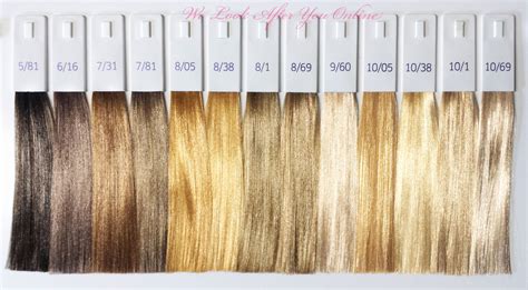 Blonde Hair Toner Chart