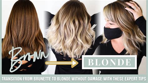 Blonde to Brunette Conversion