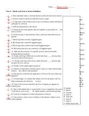 Blood Basics Quiz Answer Key Reader