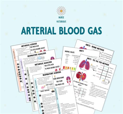 Blood Gas Cheat Sheet: Everything You Need to Know in One Place