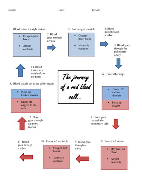 Blood Journey Answers PDF