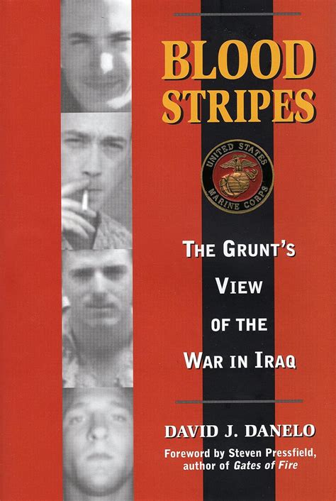 Blood Stripes The Grunt's View of the War in Iraq Kindle Editon