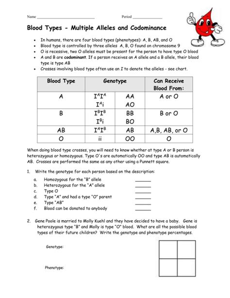 Blood Types Worksheet Answer Key PDF