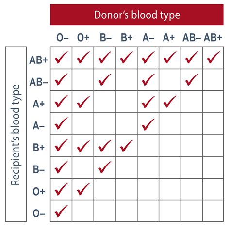 Blood Types in Singapore: A Comprehensive Guide