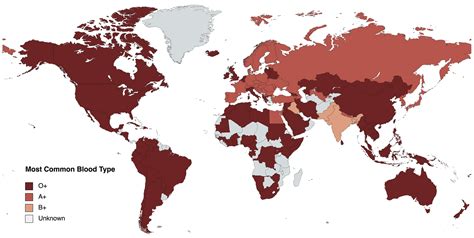 Blood Types in Singapore: An Exploration of Distribution, Health Implications, and Perspectives