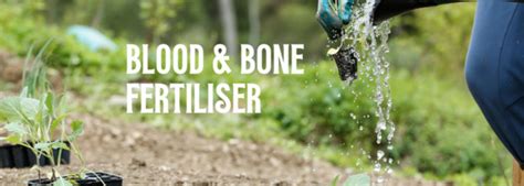 Blood and Bone Fertilizer: A Guide to Its Benefits and Uses