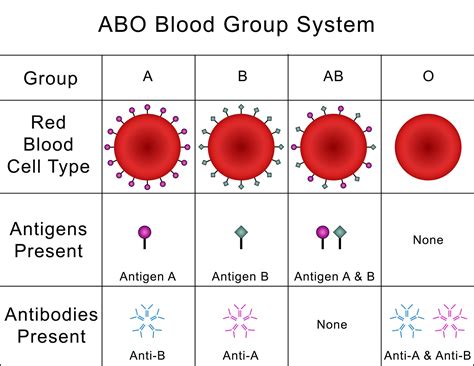 Blood groups