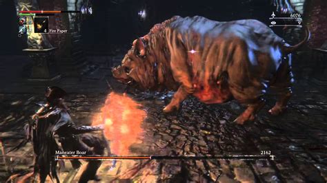 Bloodborne Pig: A Mysterious and Fascinating Creature