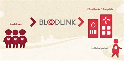 Bloodlink Mania: A Global Phenomenon