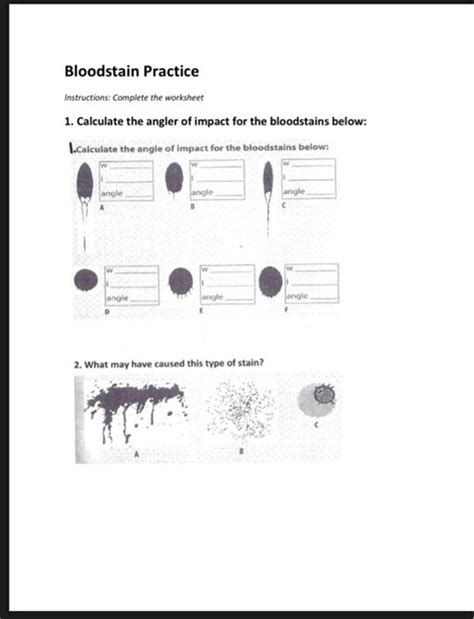 Bloodstain Science Worksheet Answers Epub