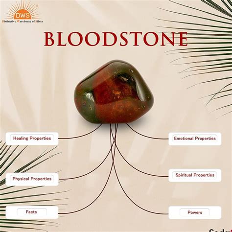 Bloodstone Gemstone Meaning: Unveiling the Mystical Powers