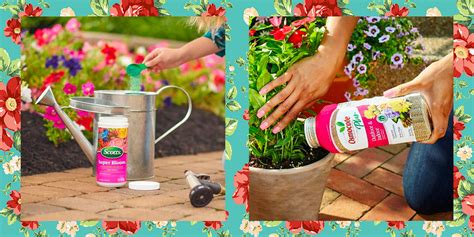 Blooming Fertilizer for Flowers: Feed Your Blooms, Enhance Their Charms