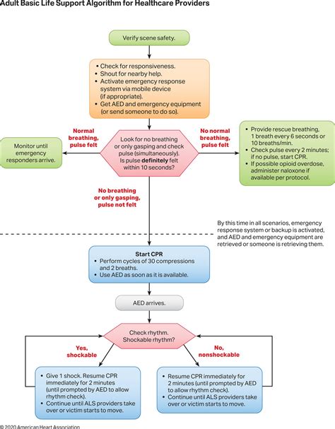 Bls For Healthcare Providers Version D Answers PDF