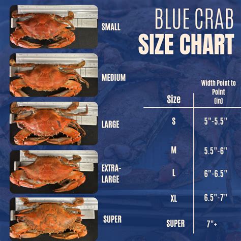 Blue Crab Sizing Chart
