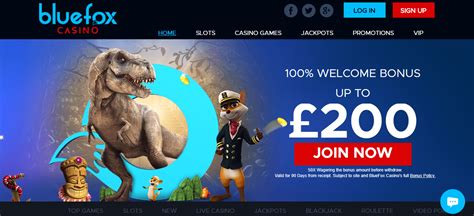 BlueFox Casino: Dive into an Ocean of Games and Winning Possibilities