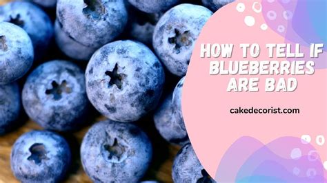 Blueberries: A Sweet Treat that's Dangerous for Dogs