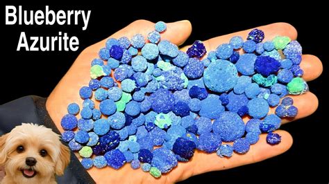 Blueberry Azurite: A Gemstone with a Mystifying Allure and Unparalleled Potential