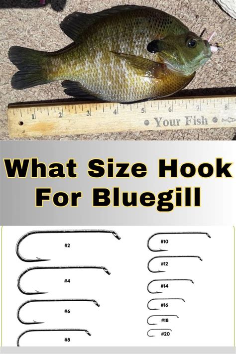 Bluegill Hook Size Chart