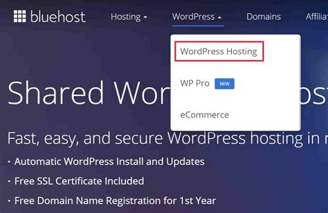 Bluehost WordPress installation process