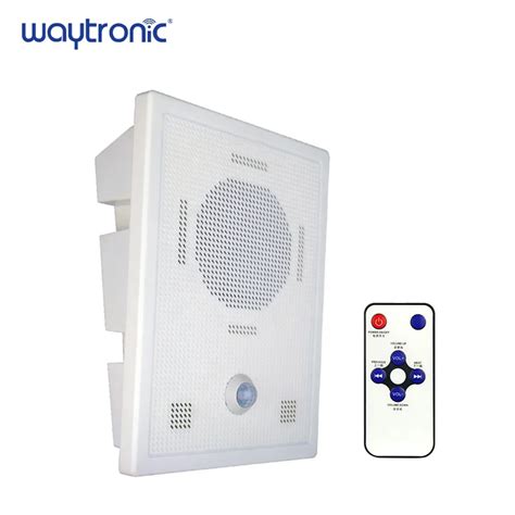 Bluetooth Motion Sensor Wireless Speaker Reader