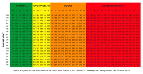 Bmi Chart Morbidly Obese