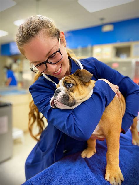 Board-Certified Veterinarians:
