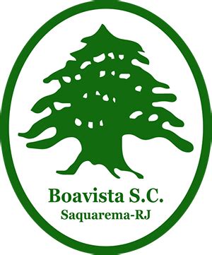 Boavista FC RJ: Uma Potência em Ascensão no Futebol Carioca