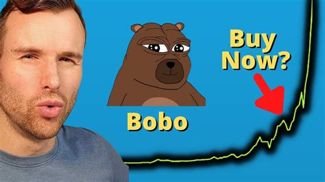 Bobo Crypto: The Ultimate Guide to 69,420% ROI