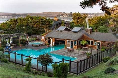 Bodega Bay Hotels That Welcome Pets: Your Guide to a Paw-some Getaway