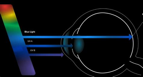 Body Blu: The Blue Light Blocking Technology That's Revolutionizing Health