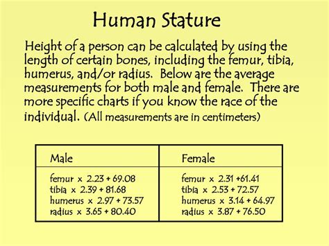 Body Measurements and Stature: