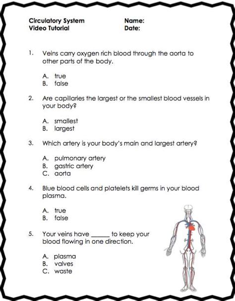 Body System Checklist Circulatory Answer Key PDF