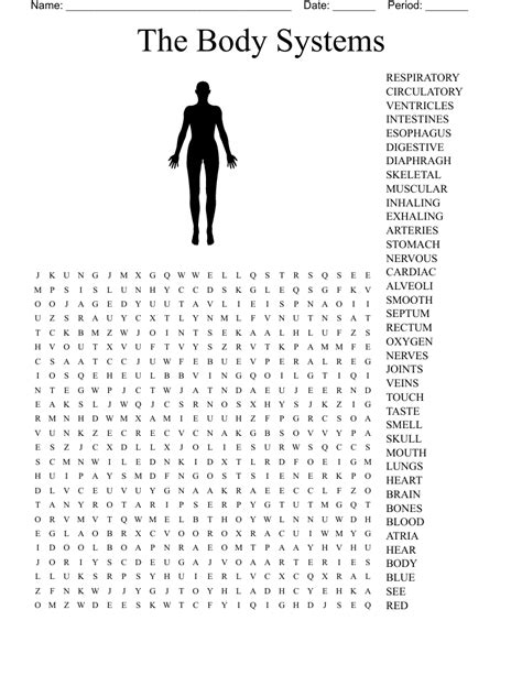 Body System Word Search Answers Doc