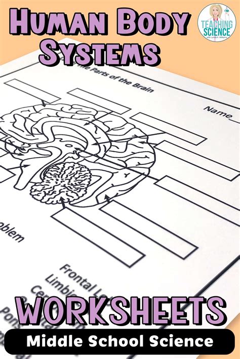 Body System Worksheet Answer Key Kindle Editon