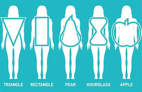 Body shape: