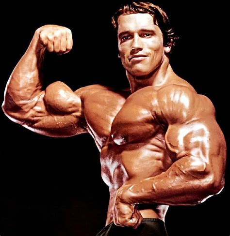 Bodybuilder Arnold Schwarzenegger PDF