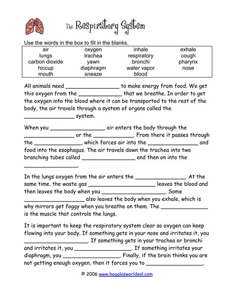 Bogglesworldesl Cloze Verb Answers Doc